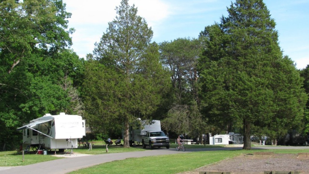 RVs parked in a sunny, tree-lined campground.