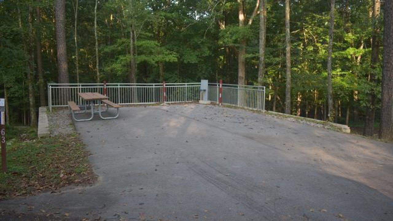 Empty picnic area with a metal table and gate, surrounded by trees.