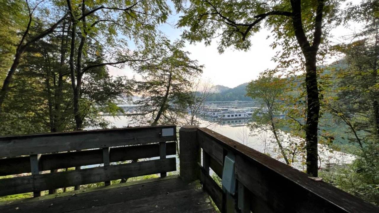 Scenic view from a forested overlook with a railing, overlooking a river and distant hills.