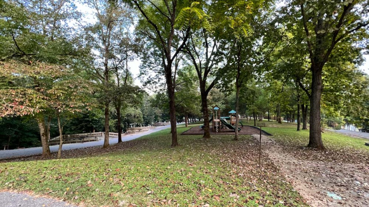 Autumn scene in a park with fallen leaves and a small bridge in the background.