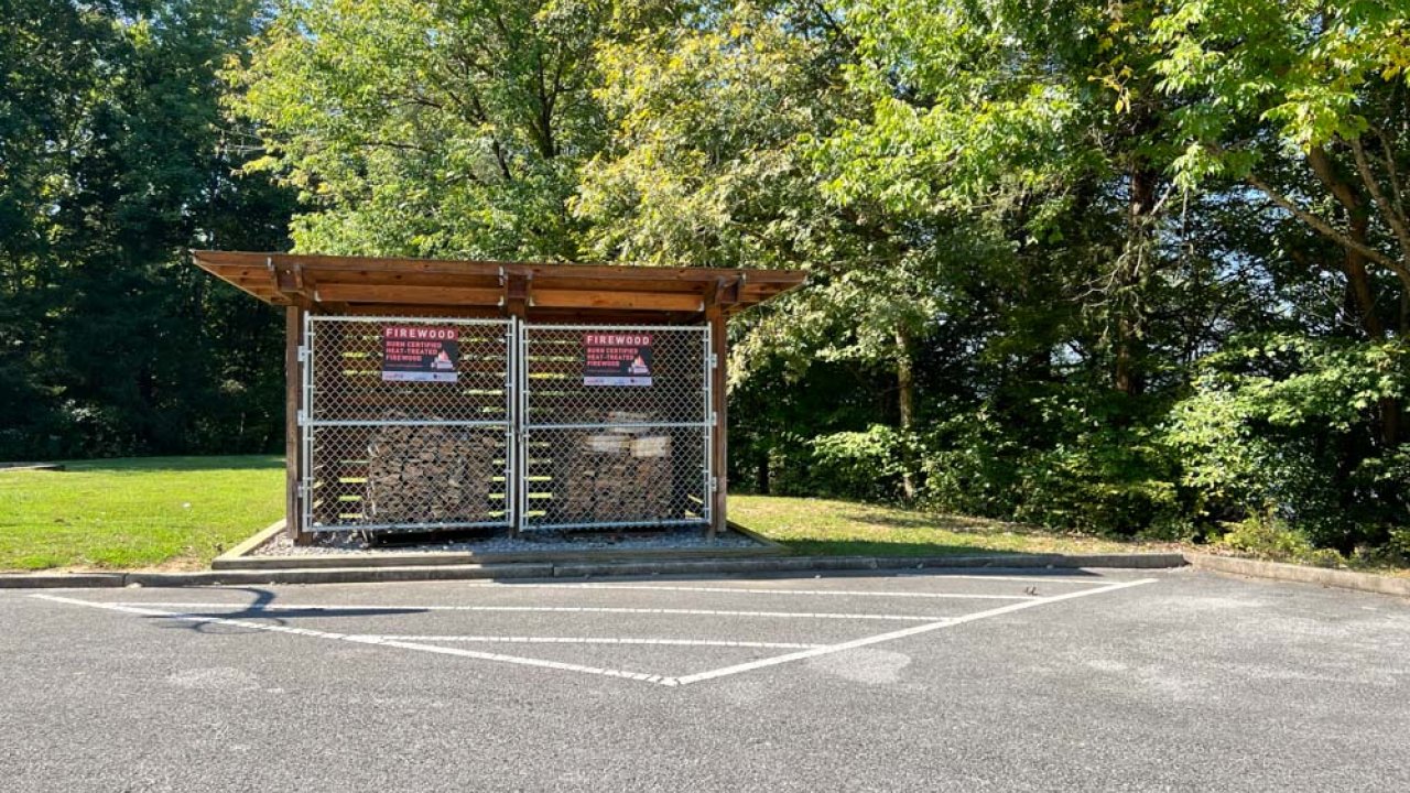Wooden bus shelter with posters, in a sunny parking lot with trees.