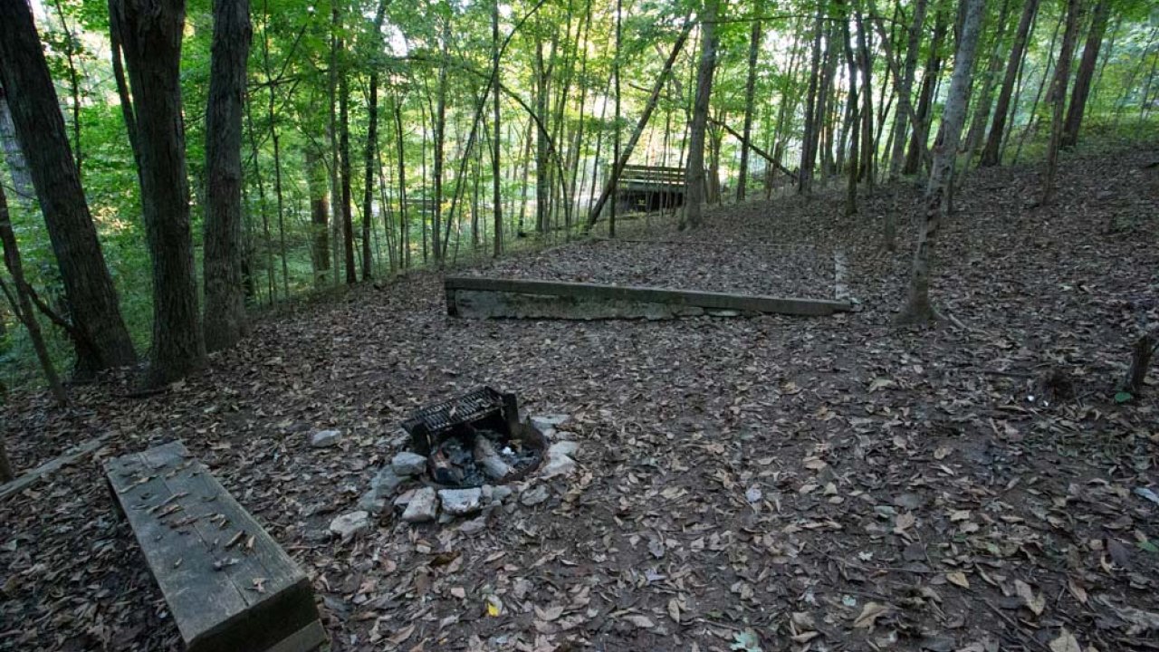 Forest campsite with wooden bench and fire pit surrounded by trees.