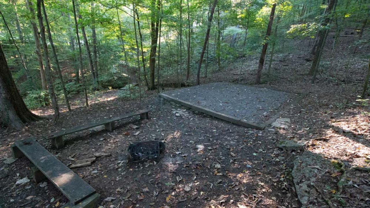 Concrete slabs and bench in a leafy forest setting.