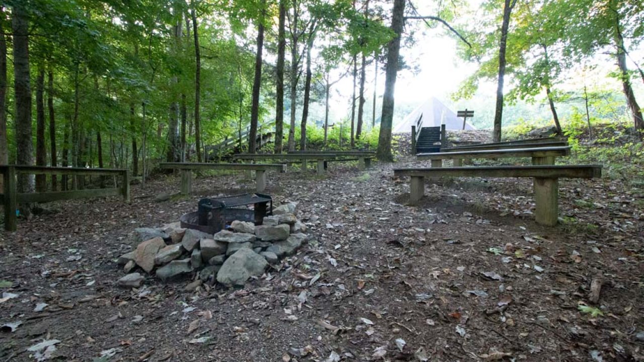 Wooded campsite with fire pit and benches during the daytime.