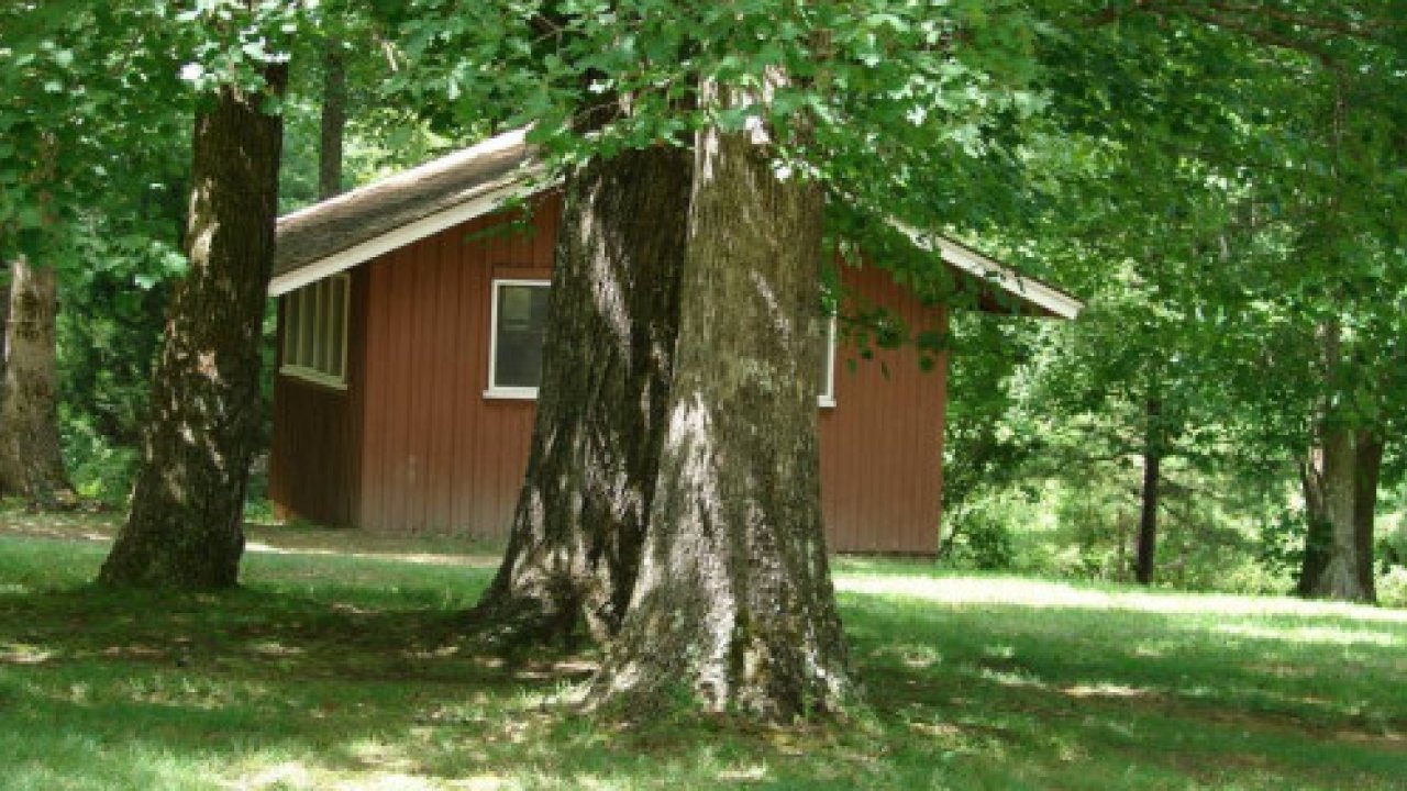 A small brown cabin nestled among green trees.