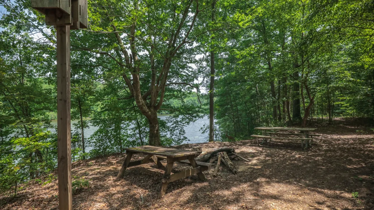 Wooden picnic table and birdhouse by a lake, surrounded by trees.