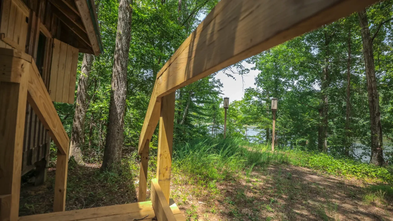 Wooden cabin entrance with a ramp leading to a forested lake area.