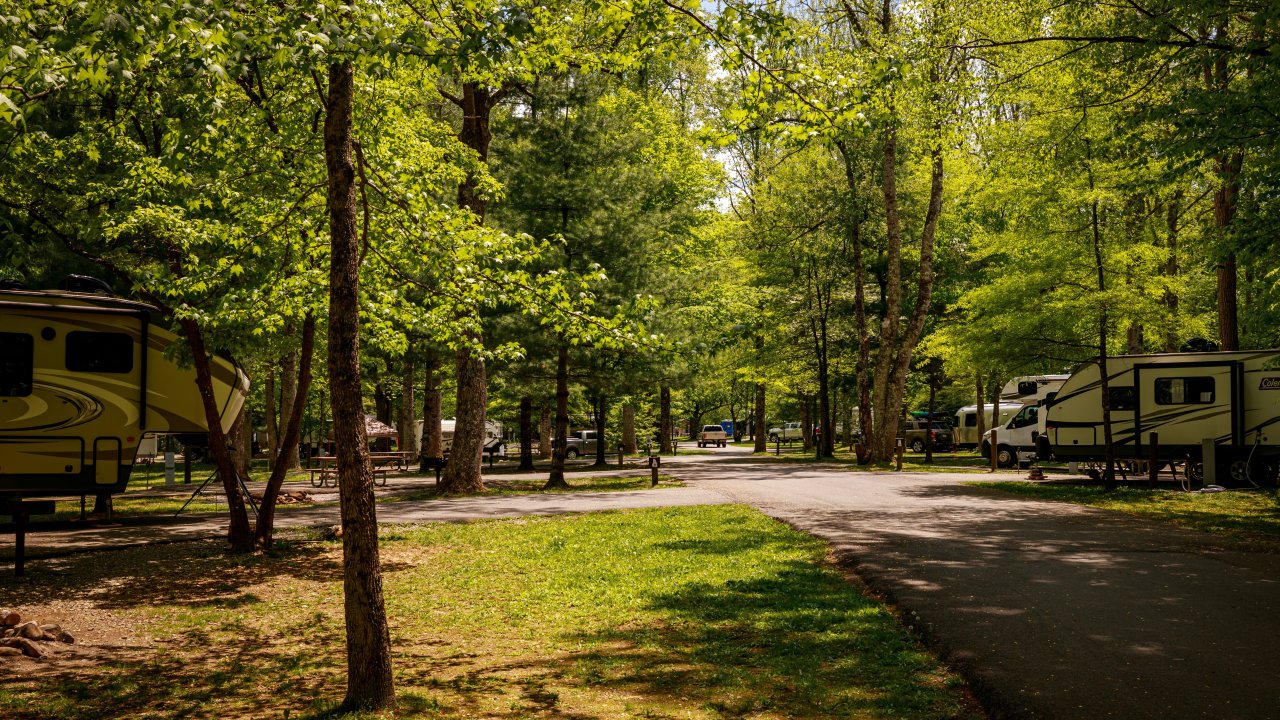 Campground with RVs among lush green trees on a sunny day.
