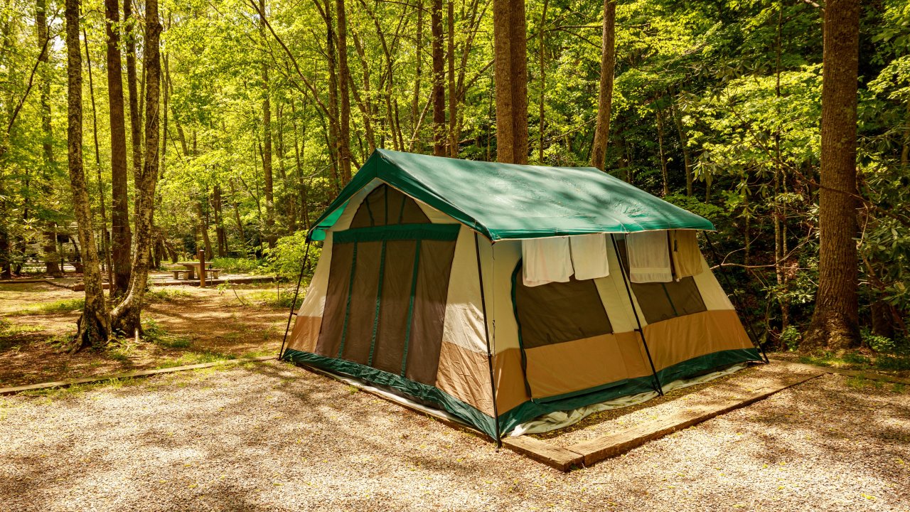 Green and brown tent in a sunlit forest campsite.