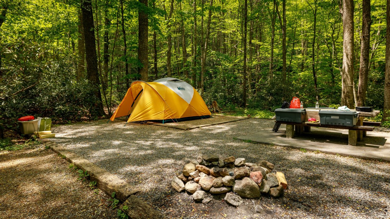 Yellow tent and picnic table in a wooded campsite.
