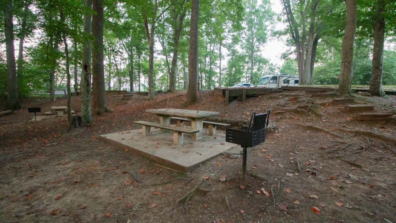 Wooded campsite with a picnic table and grill.