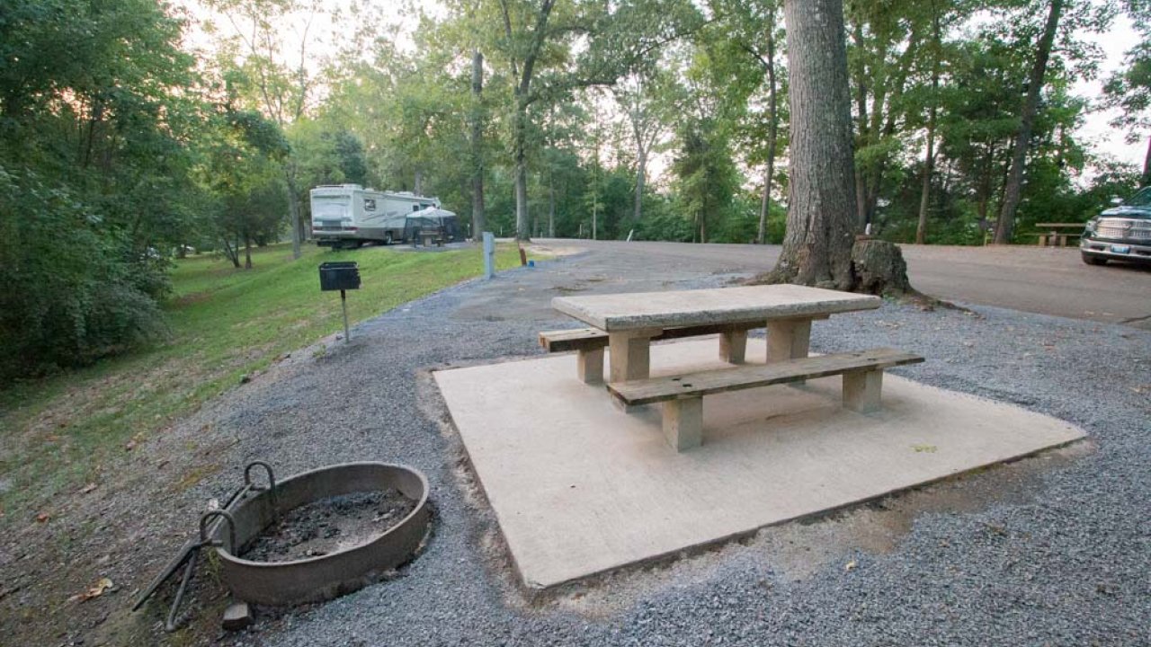 Campground setting with a picnic table and fire ring by a tree.