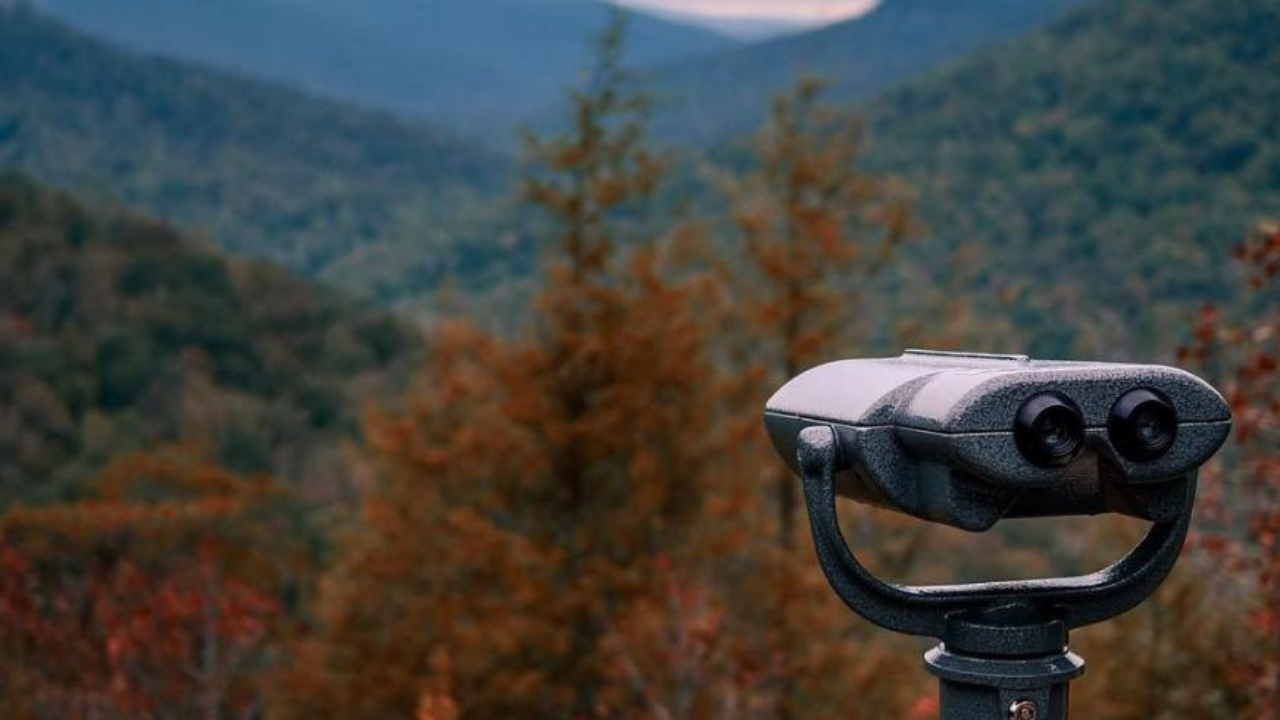 A scenic mountain view with soft autumn colors, featuring a colorblind viewer in the foreground facing the landscape.
