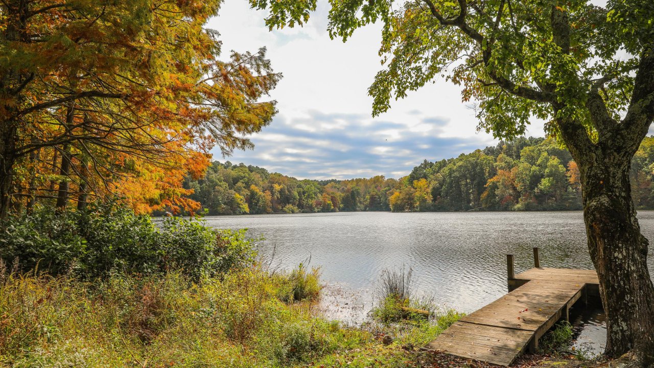 Wooden dock extending into a calm lake, framed by trees with early fall foliage under a cloudy sky.