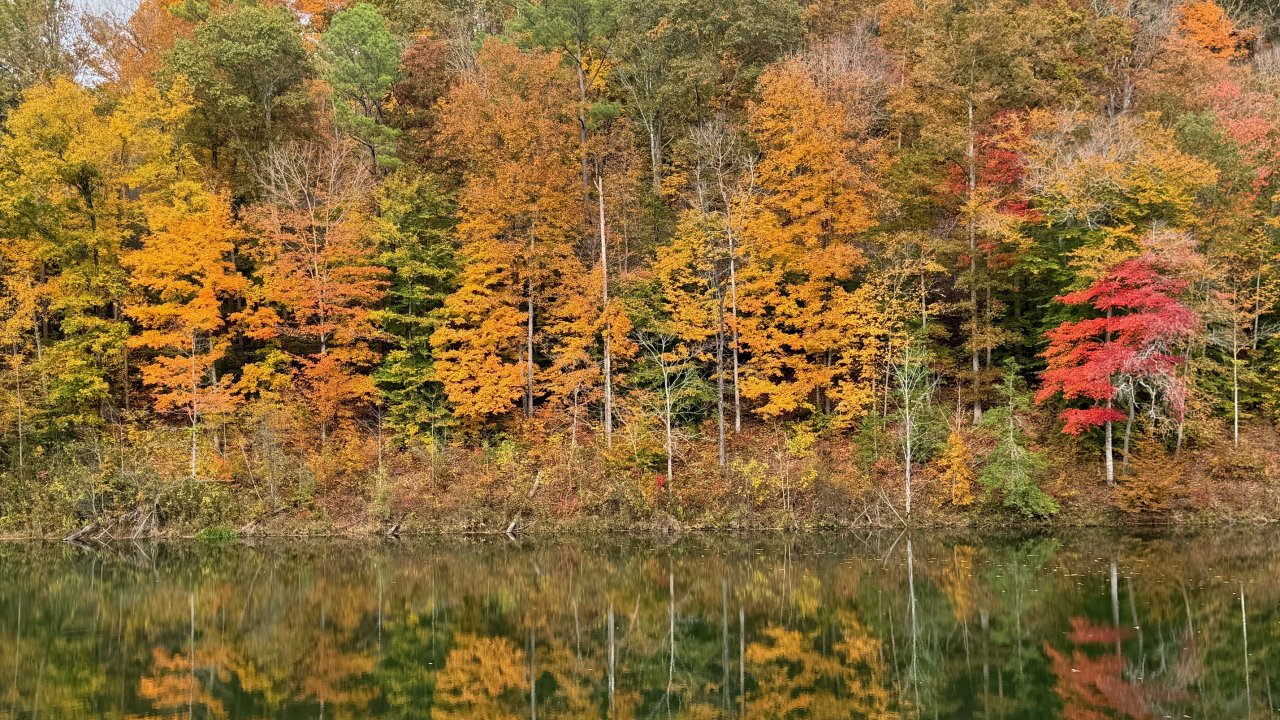 Colorful autumn trees in shades of orange, yellow, green, and red reflected on the still surface of a lake.