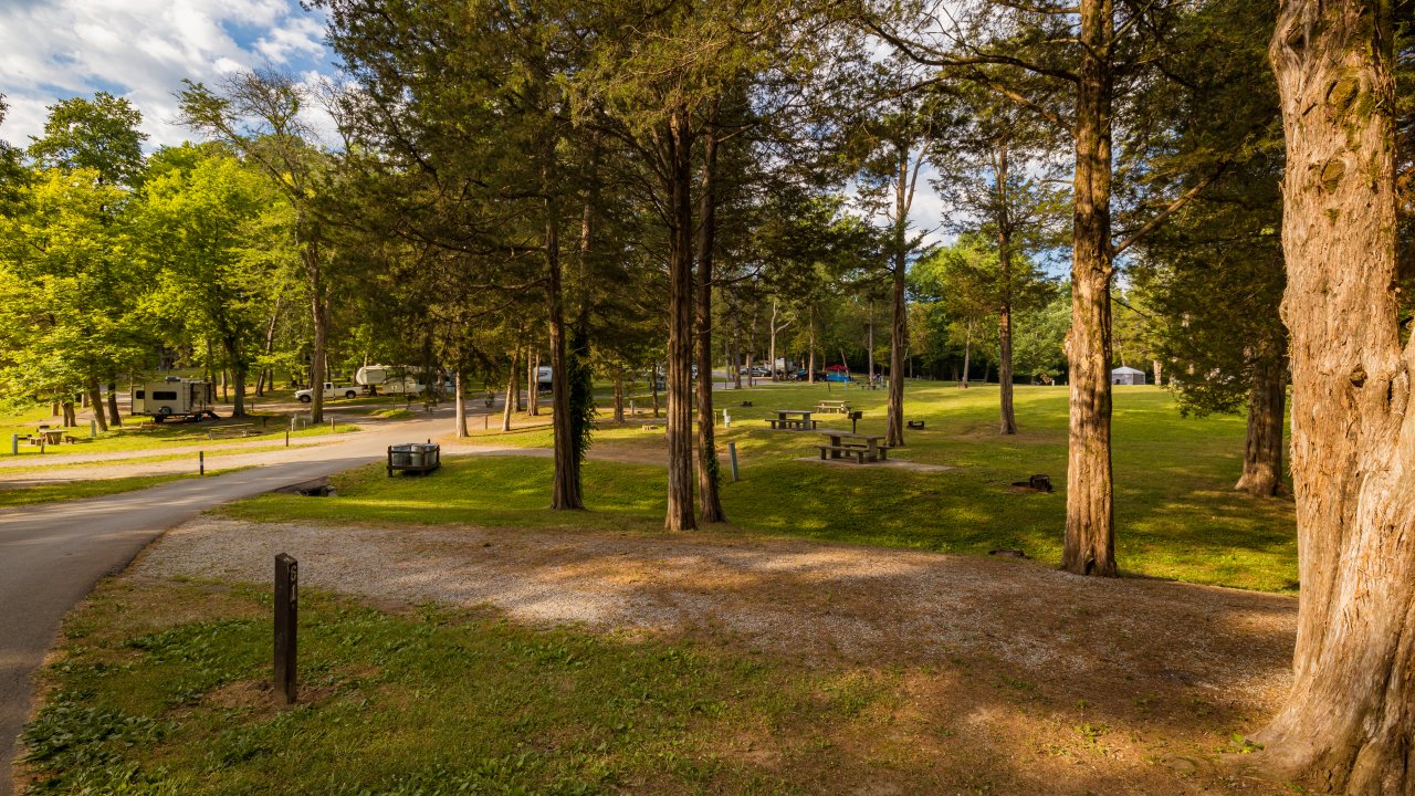 Park with picnic tables, trees, and parked RVs under a partly cloudy sky.