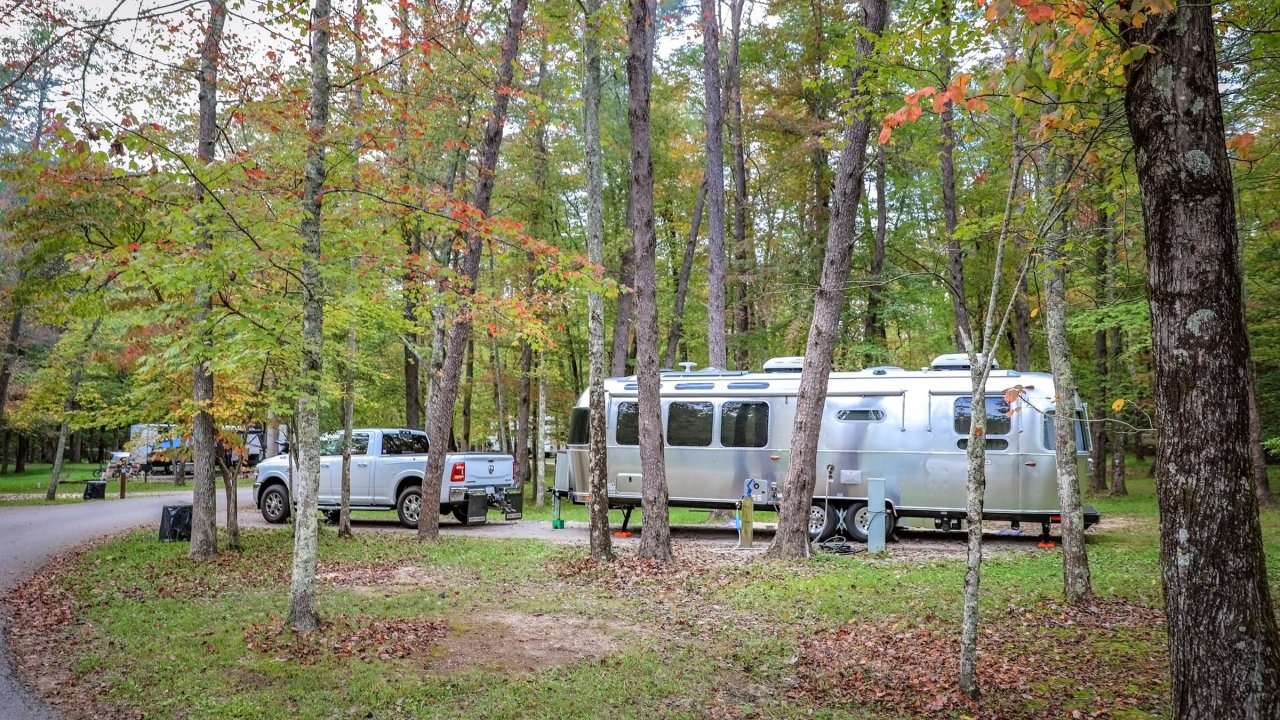 A silver Airstream-style trailer is parked at a campsite with hookups, surrounded by tall trees and a lightly leaf-covered ground.