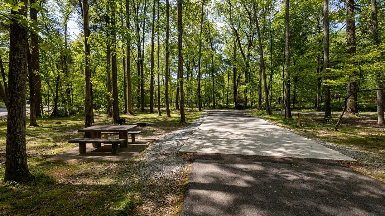 Shaded campsite with picnic table under tall green trees.