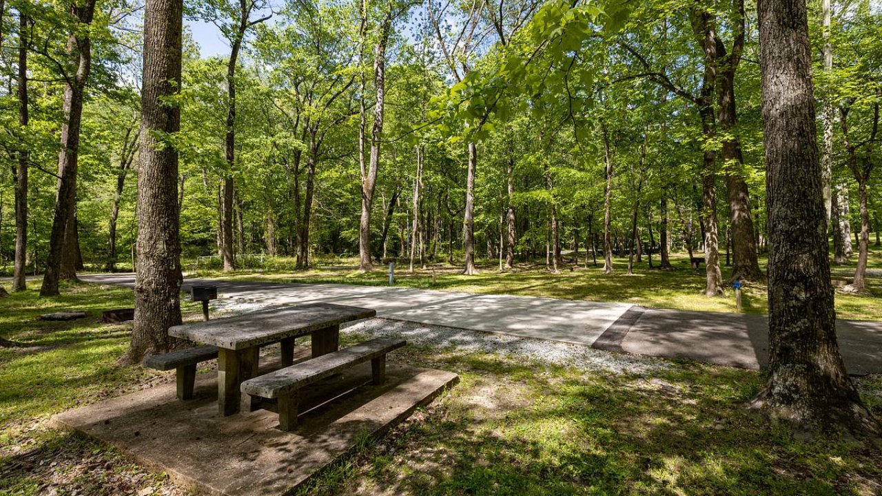 Picnic table in a shaded, wooded park area surrounded by green trees.
