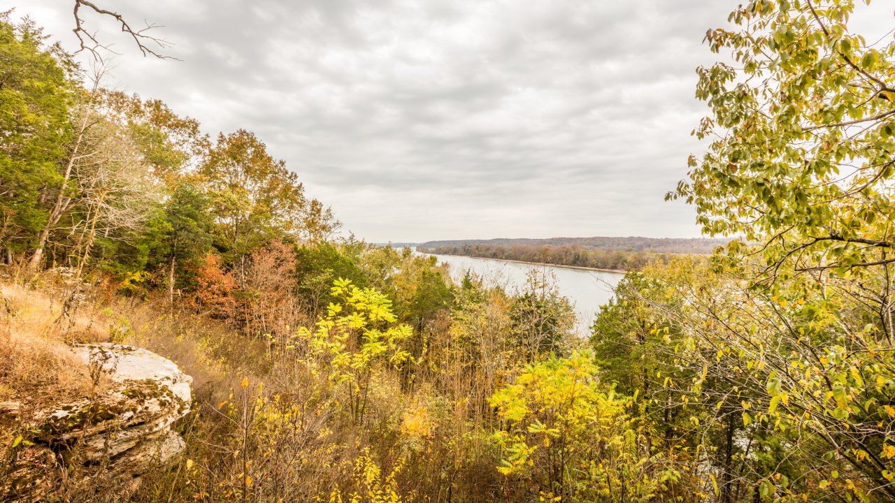 Autumn landscape with trees and a river under a cloudy sky.