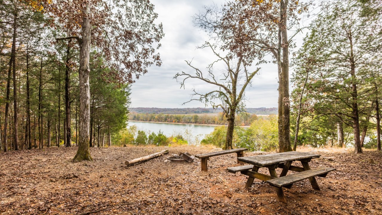 Forest clearing with picnic tables overlooking a lake.