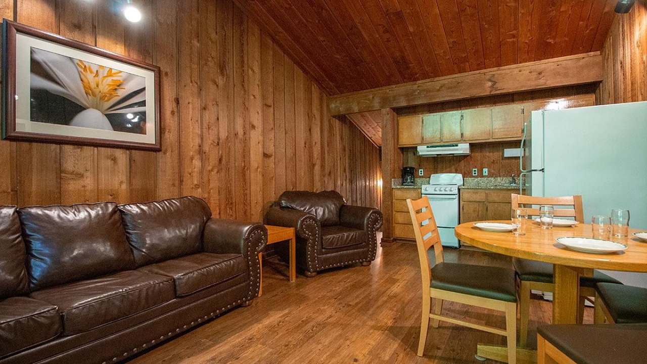 Cozy wooden cabin living room with leather sofas, dining table, and kitchen in background.