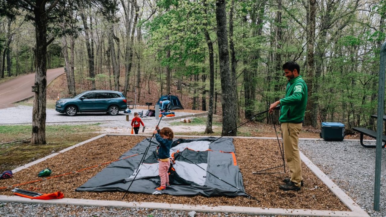 campingmousetail
