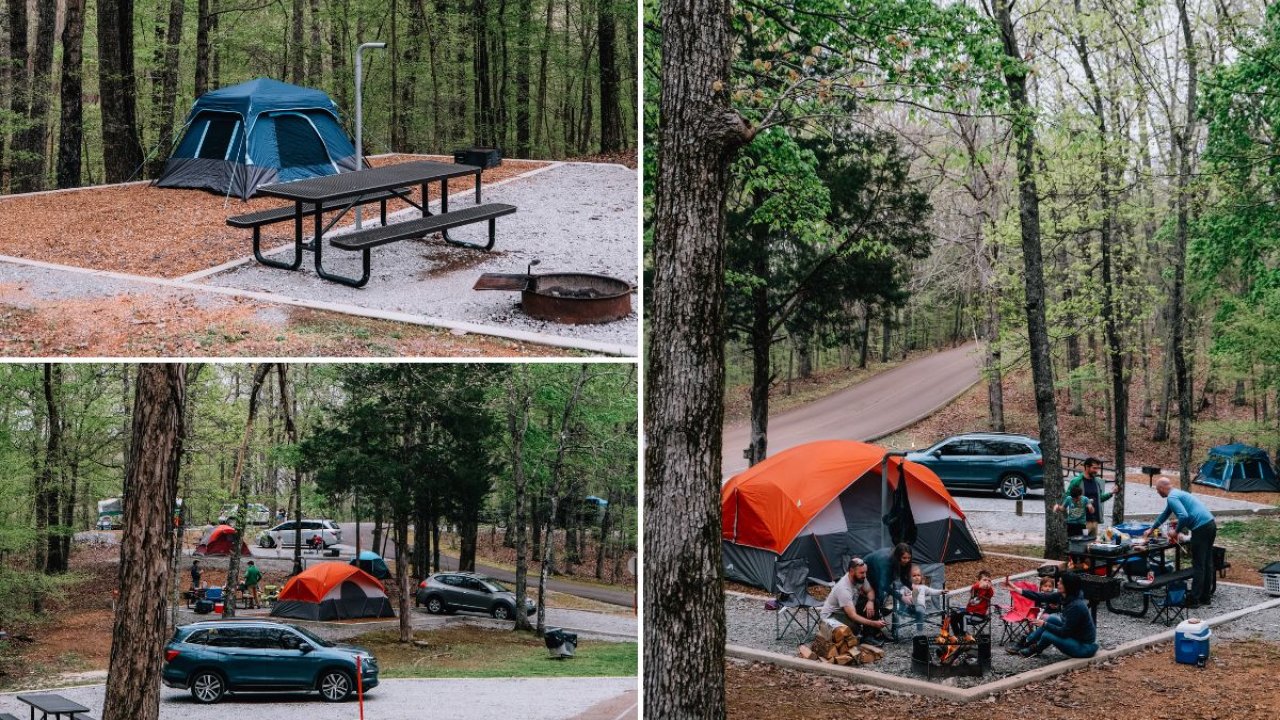 campingmousetail