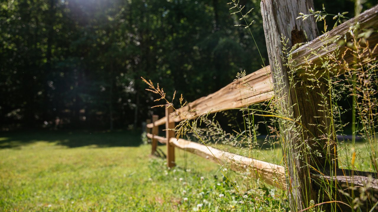 David Crockett State Park • Lawrenceburg, TN • Lunch