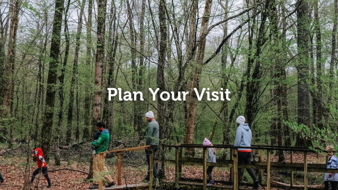 Plan your visit