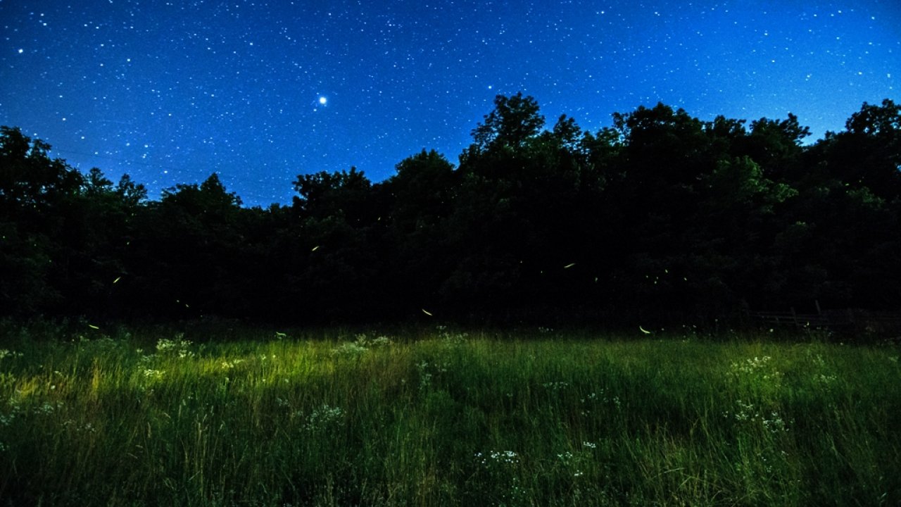 _dsc7007.jpg