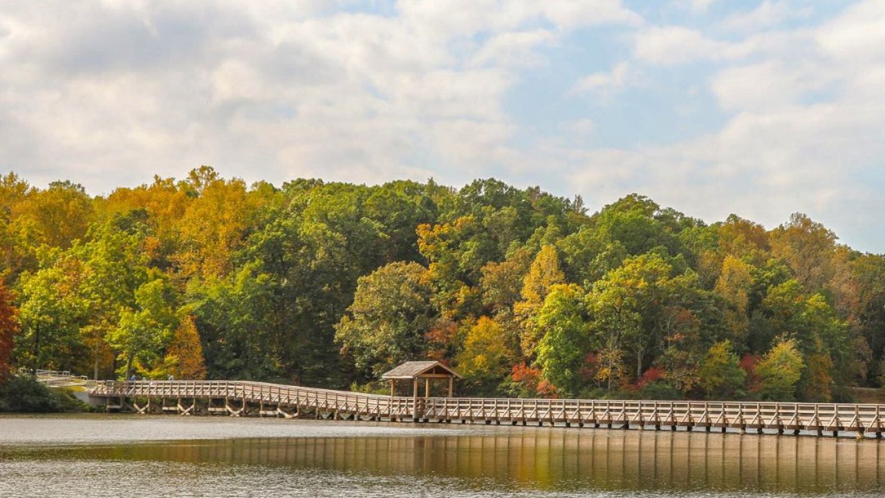 chickasaw-3.jpg