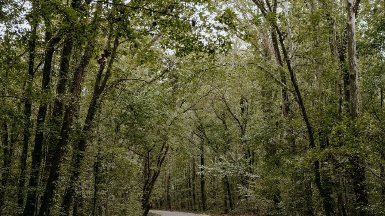 3_-_park_road.jpg