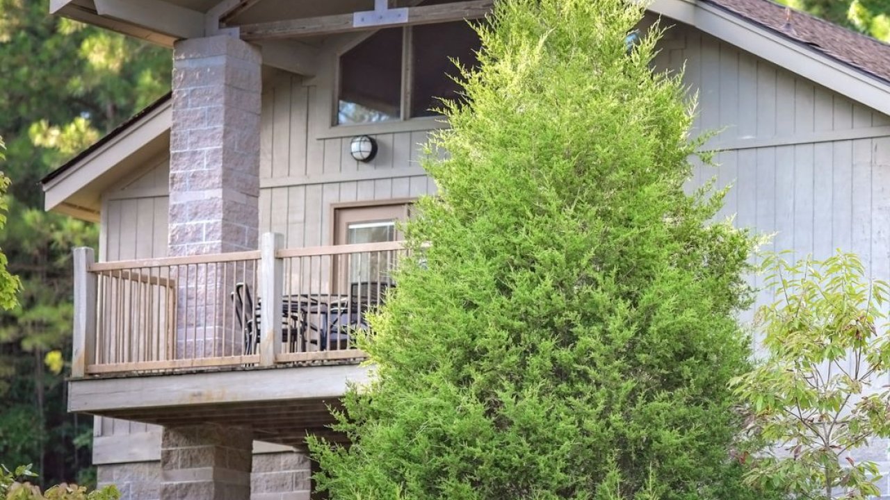 natchez_trace_cabins.jpg