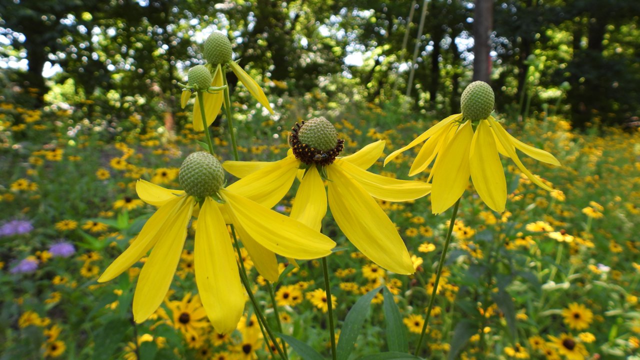 dscn5010.jpg