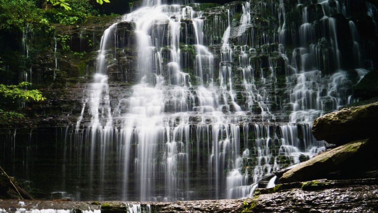 Short Springs State Natural Area (Near Tims Ford State Park)