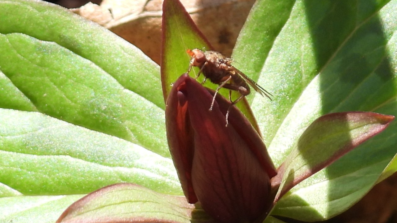 dscn1663.jpg