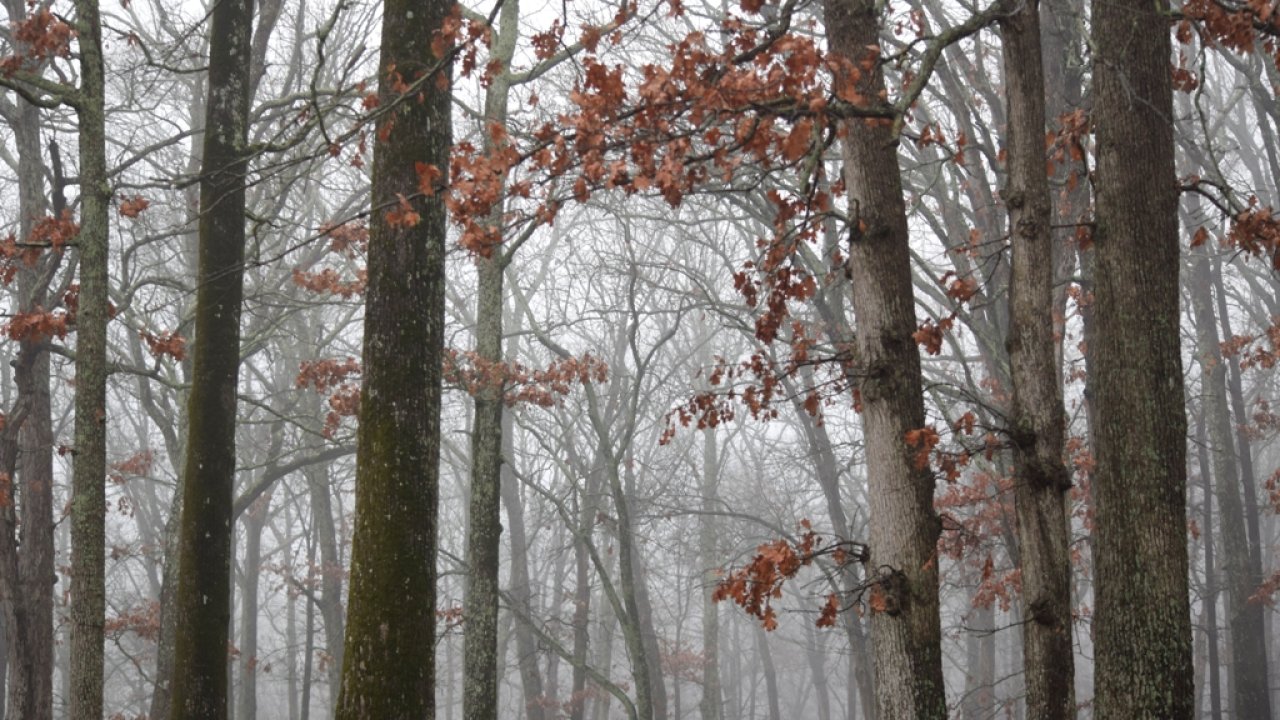 _dsc4254.jpg
