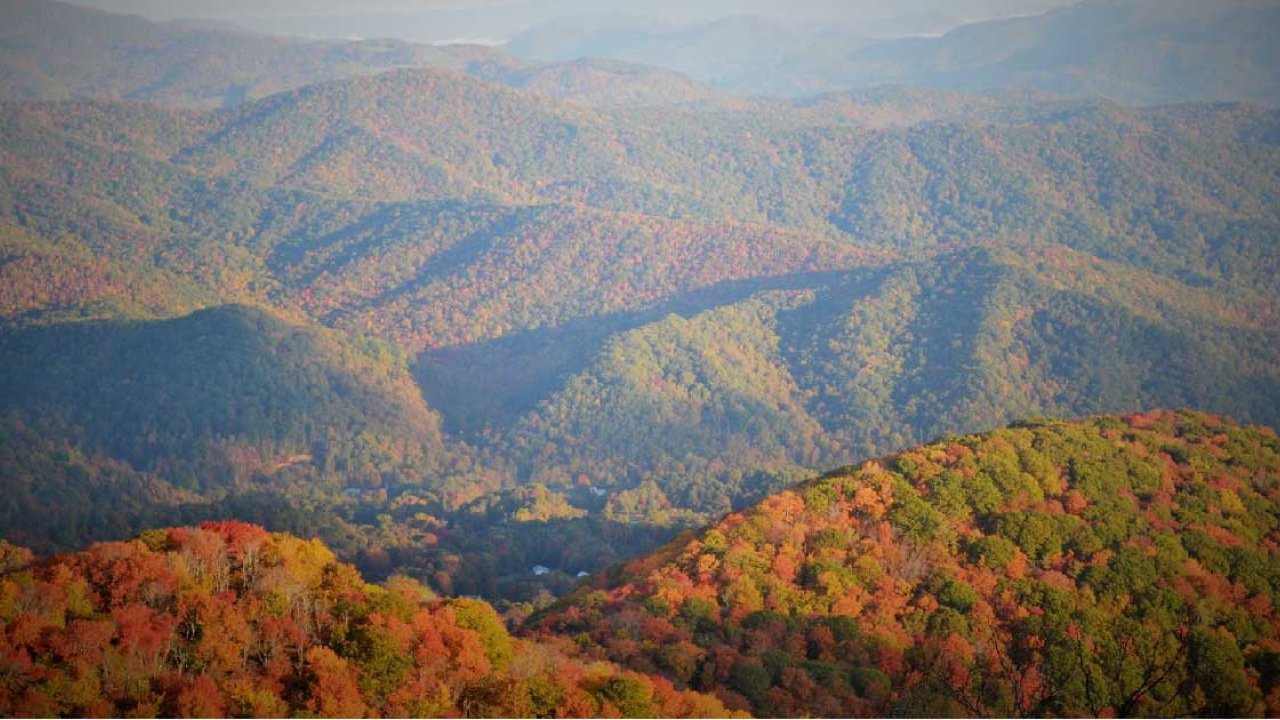 roan_mountain_state_park_fall_colors.jpg