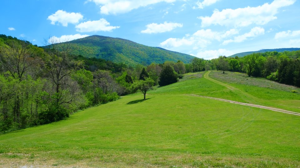 mountains covered in trees in the backgroundwith a valley in the foreground with small trails