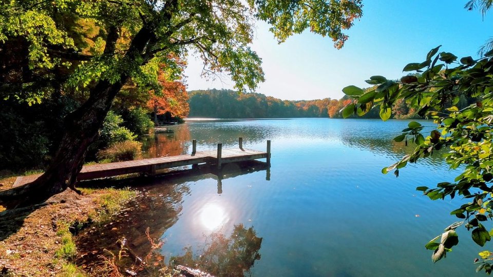 Tranquil lake scene with a wooden dock, surrounded by lush green and autumnal trees under a clear blue sky. Sunlight reflects on calm water.