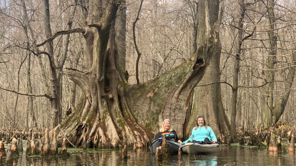 Two people in kayaks float on still water in a swamp, surrounded by bare, towering cypress trees. The scene is peaceful and serene.