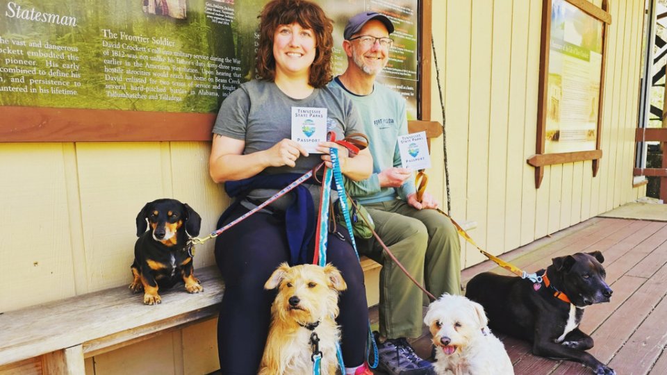 A smiling man and woman sit on a bench outside a building, holding passports. Four dogs sit around them, conveying a joyful, relaxed mood.