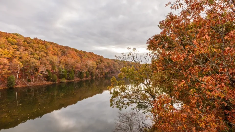 Autumn trees reflecting in a calm river under cloudy skies.