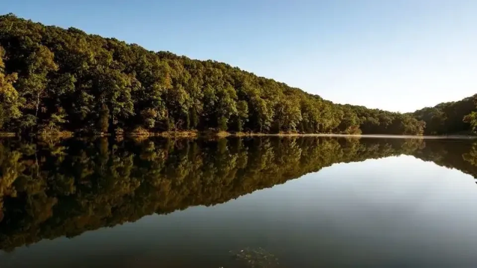 Calm lake reflecting dense green forest under clear sky.
