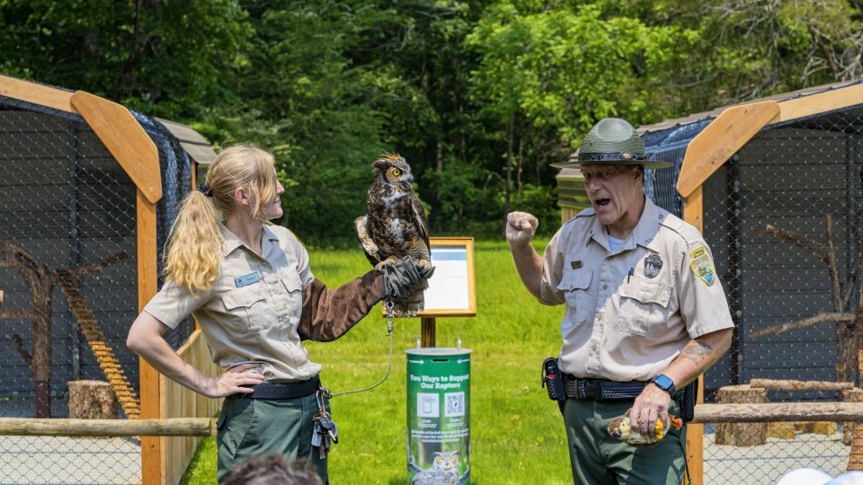 Park rangers with an owl, outdoors, in front of an enclosure.
