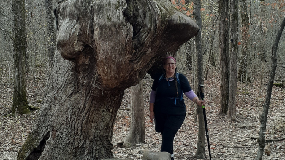 A woman stands beside a large, uniquely shaped tree in a forest. She holds a hiking pole, smiling, on a leaf-covered ground with subdued fall colors.