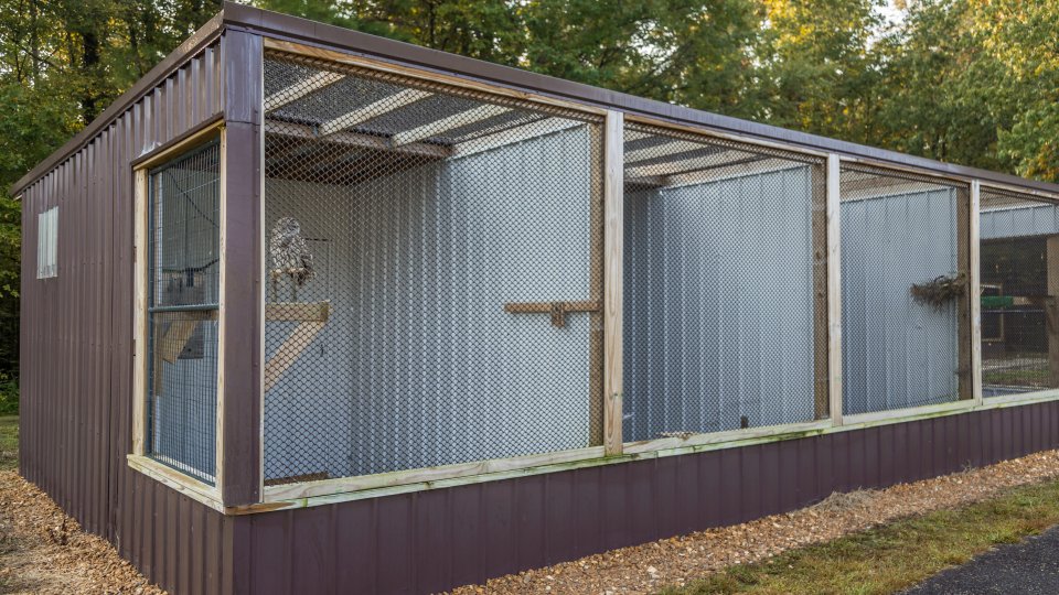 birds in brown cages surrounded by trees near a path