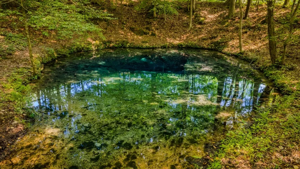 Clear blue pond surrounded by lush green forest.