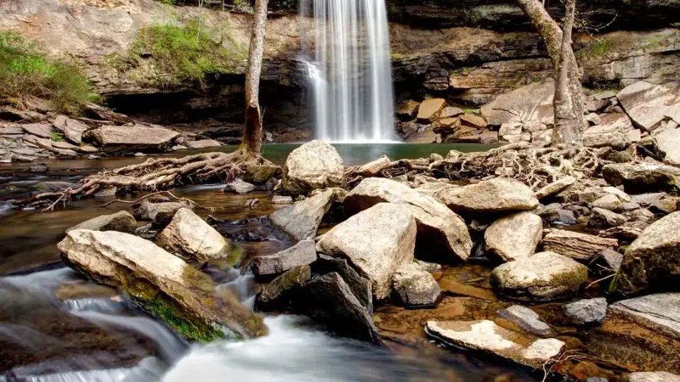 A serene waterfall cascades down a rock face into a pool, surrounded by lush greenery and trees. The foreground features smooth, flowing water over scattered rocks, creating a tranquil, natural scene.